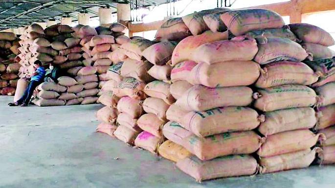 Farmers' plunder by traders | व्यापाऱ्यांकडून शेतकऱ्यांची लूट Farmers' plunder by traders | व्यापाऱ्यांकडून शेतकऱ्यांची लूट