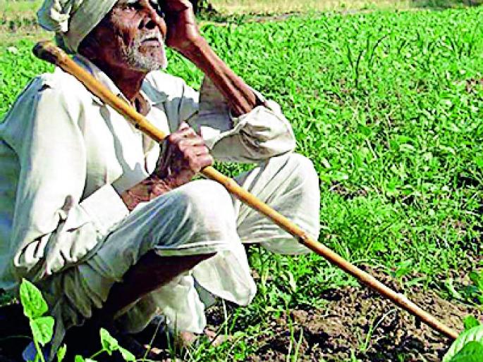 Nationalized banks refuse to accept crop loan | राष्ट्रीयीकृत बँकांची वणीत पीक कर्ज वाटपास नकारघंटा Nationalized banks refuse to accept crop loan | राष्ट्रीयीकृत बँकांची वणीत पीक कर्ज वाटपास नकारघंटा