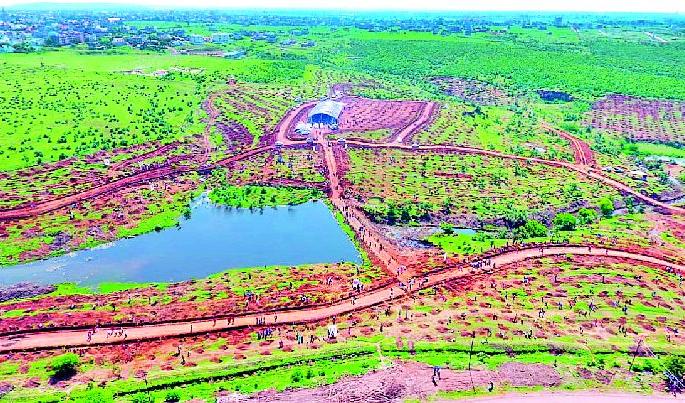 Forests are important than coriander | धनापेक्षा वन महत्त्वाचे