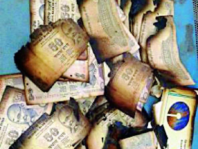 In the Mahaga, coins of 55 thousand coins were reported | महागावात ५५ हजारांच्या चलनी नोटांची झाली राख