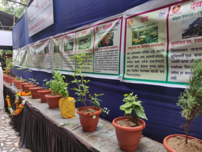 Ganesh Festival 2019; An extraordinary display of the 21 multifunctional trees to carry to Ganapati | Ganesh Festival 2019; गणपतीला वाहण्यासाठी असलेल्या २१ बहुगुणी पत्रींचे अनोखे प्रदर्शन Ganesh Festival 2019; An extraordinary display of the 21 multifunctional trees to carry to Ganapati | Ganesh Festival 2019; गणपतीला वाहण्यासाठी असलेल्या २१ बहुगुणी पत्रींचे अनोखे प्रदर्शन