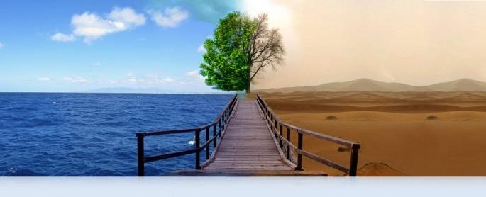 Water literacy from water literature | जलसाहित्यातून जलसाक्षरता Water literacy from water literature | जलसाहित्यातून जलसाक्षरता