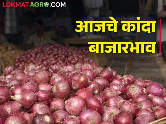 Latest News 02 feb 2024 todays onion price in nashik maharashtra | लासलगाव बाजार समितीमध्ये कांदा पुन्हा घसरण, आज काय भाव मिळाला? Latest News 02 feb 2024 todays onion price in nashik maharashtra | लासलगाव बाजार समितीमध्ये कांदा पुन्हा घसरण, आज काय भाव मिळाला?