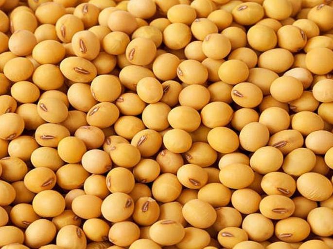 Only 7,780 quintals of grain procurement through Nafed in Dhule-Nandurbar district | धुळे-नंदुरबार जिल्ह्यात नाफेडतर्फे फक्त ७,७८० क्विंटल धान्य खरेदी Only 7,780 quintals of grain procurement through Nafed in Dhule-Nandurbar district | धुळे-नंदुरबार जिल्ह्यात नाफेडतर्फे फक्त ७,७८० क्विंटल धान्य खरेदी