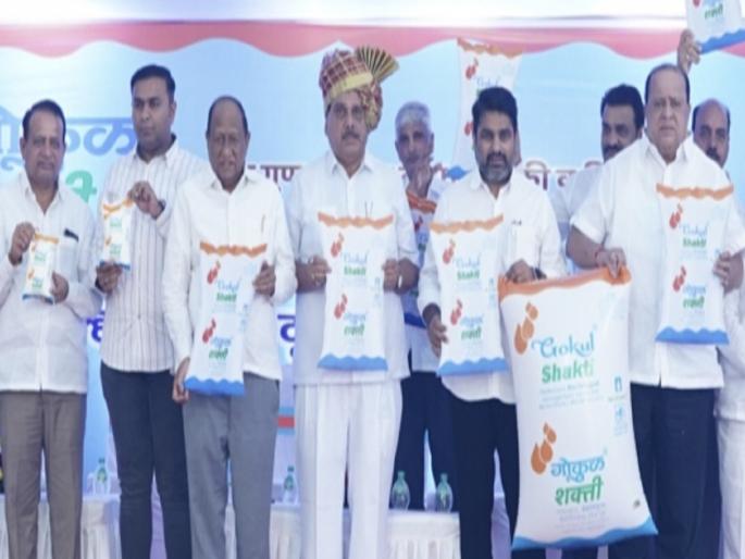 'Gokul Shakti milk will be liked by Mumbaikars, MLA Satej Patil expressed his belief | ‘गोकुळ शक्ती’ दूध मुंबईकरांच्या पसंतीस उतरेल, सतेज पाटील यांनी व्यक्त केला विश्वास 'Gokul Shakti milk will be liked by Mumbaikars, MLA Satej Patil expressed his belief | ‘गोकुळ शक्ती’ दूध मुंबईकरांच्या पसंतीस उतरेल, सतेज पाटील यांनी व्यक्त केला विश्वास