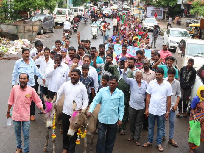 Gaddha Morcha protested against neglecting the demands of wandering | भटक्यांच्या मागण्यांकडे दुर्लक्ष केल्याच्या निषेधार्थ गाढव मोर्चा