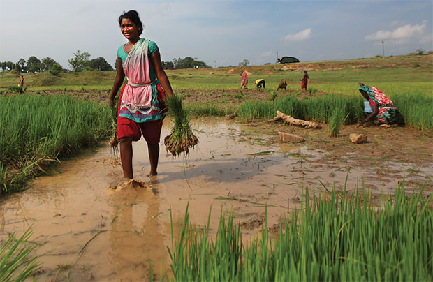 nashik,campaign,alert,tribal,organization | आदिवासी संघटनेचा पायी मोर्चाचा इशारा