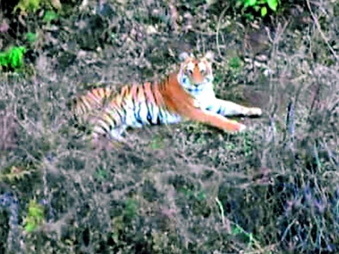 'Do not share location' on youth DP | युवकांच्या डीपीवर ‘डू नॉट शेअर लोकेशन’ 'Do not share location' on youth DP | युवकांच्या डीपीवर ‘डू नॉट शेअर लोकेशन’