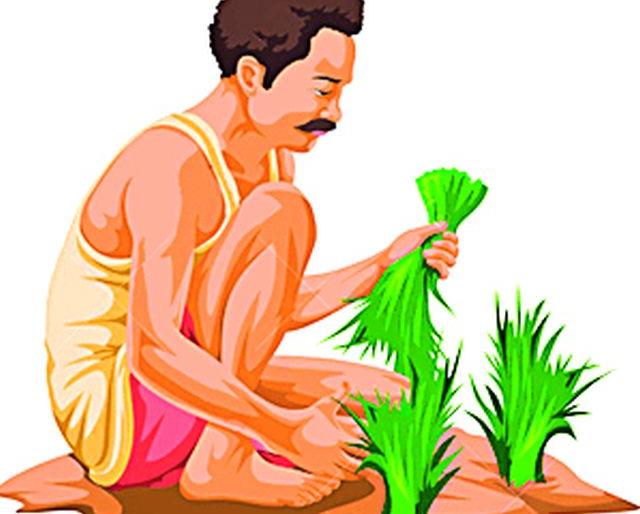 A profit of Rs 188 crore to 3.13 lakh farmers | ३.१३ लाख शेतकऱ्यांना १८८ कोटींचा लाभ A profit of Rs 188 crore to 3.13 lakh farmers | ३.१३ लाख शेतकऱ्यांना १८८ कोटींचा लाभ