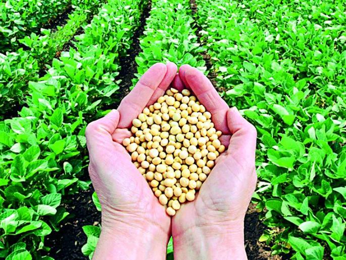 Contempt of governance! | शासनादेशाचा हा तर अवमानच! Contempt of governance! | शासनादेशाचा हा तर अवमानच!