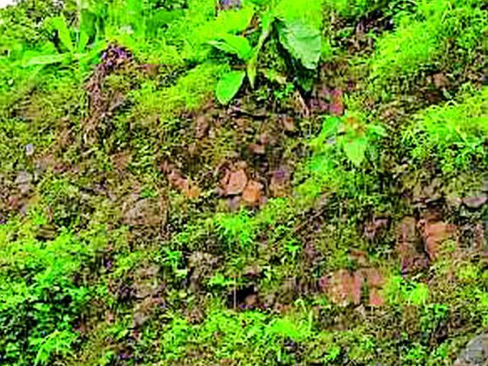 Road to 40 villages is fatal | ४० गावांचा रस्ता जीवघेणा