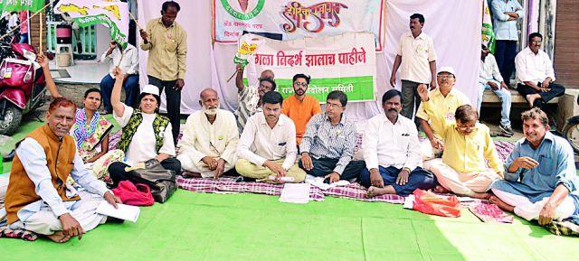 Spiritual movement of Vidarbhaas in the district | जिल्हाभरात विदर्भवाद्यांचे आत्मक्लेष आंदोलन