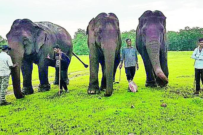 Tribal people breathed a sigh of relief from 40 villages | ४० गावांतील आदिवासींनी घेतला सुटकेचा श्वास