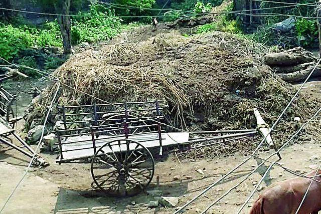 Death of woman swine flu in Shimane | शिवणी येथील महिलेचा स्वाईन फ्लूने मृत्यू Death of woman swine flu in Shimane | शिवणी येथील महिलेचा स्वाईन फ्लूने मृत्यू