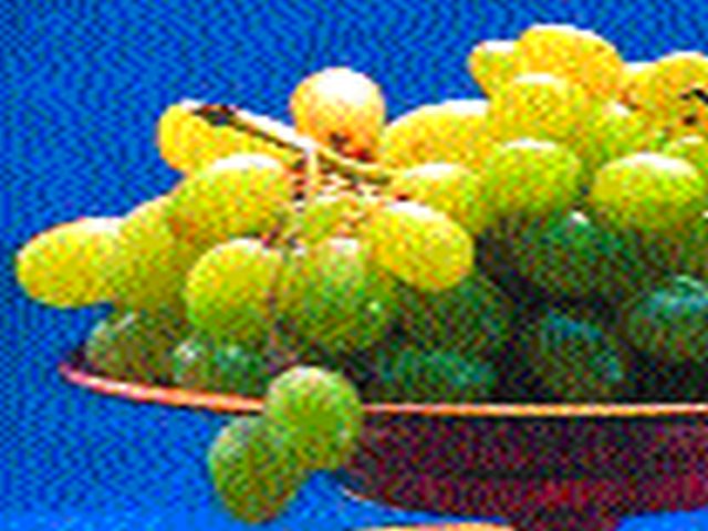 The effect of cold weather on grape exports is only 70 containers export: Expecting six thousand containers | द्राक्ष निर्यातीवर थंडीचा परिणाम अत्यल्पच ७० कंटेनर निर्यात : सहा हजार कंटेनरची अपेक्षा The effect of cold weather on grape exports is only 70 containers export: Expecting six thousand containers | द्राक्ष निर्यातीवर थंडीचा परिणाम अत्यल्पच ७० कंटेनर निर्यात : सहा हजार कंटेनरची अपेक्षा
