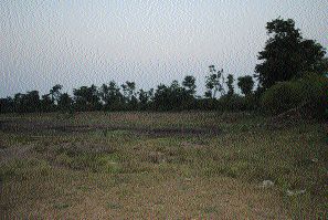 All the bonds in Yeola taluka are Kordadek | येवला तालुक्यातील सर्वच बंधारे कोरडेठाक All the bonds in Yeola taluka are Kordadek | येवला तालुक्यातील सर्वच बंधारे कोरडेठाक