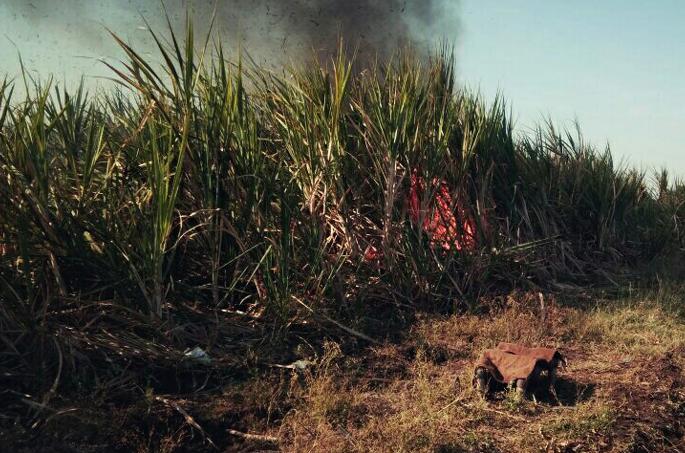 Heated up sugarcane with sugarcane | वडणीत जुन्या भांडणातून शेतक-याचा तुरीच्या गंजीसह उभा ऊस पेटविला