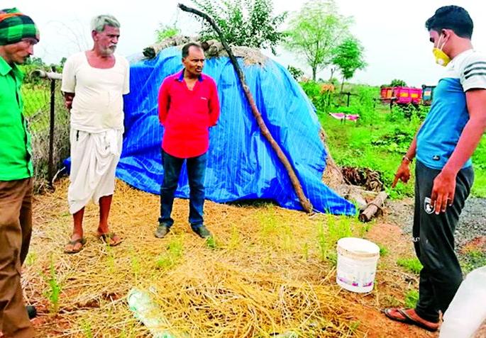 There was an increase in milk with urea-mixed animal feed | युरियामिश्रीत पशुखाद्याने होते दुधात वाढ