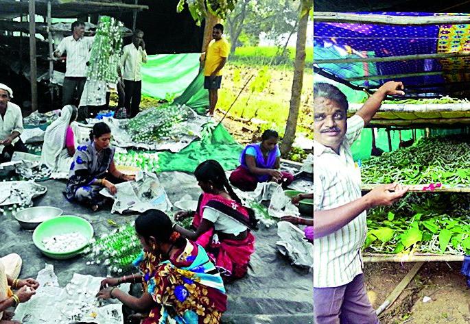 Economic advancement of farmers through coarse production | कोसा उत्पादनातून शेतकºयांची आर्थिक उन्नती Economic advancement of farmers through coarse production | कोसा उत्पादनातून शेतकºयांची आर्थिक उन्नती
