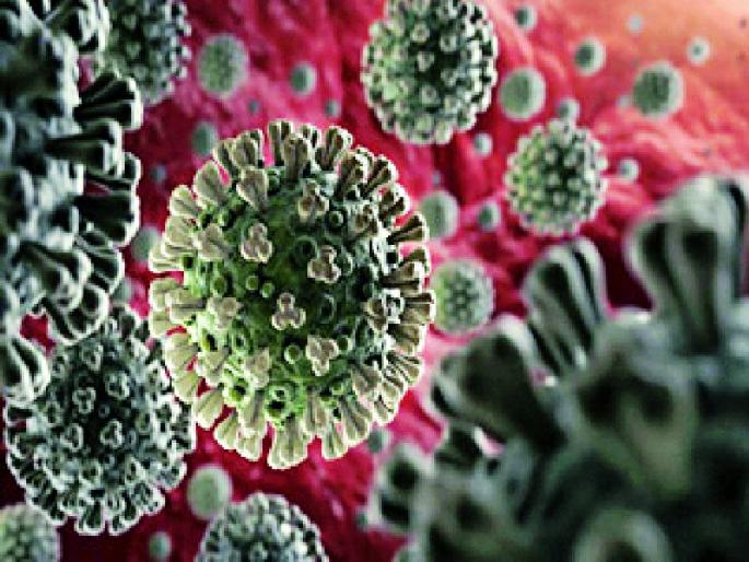 In the district 30 samples are negative | जिल्ह्यातील ३० नमुने निगेटिव्ह In the district 30 samples are negative | जिल्ह्यातील ३० नमुने निगेटिव्ह