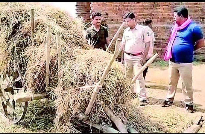 Sealed on tiger hunters | वाघाच्या शिकारीवर शिक्कामोर्तब Sealed on tiger hunters | वाघाच्या शिकारीवर शिक्कामोर्तब