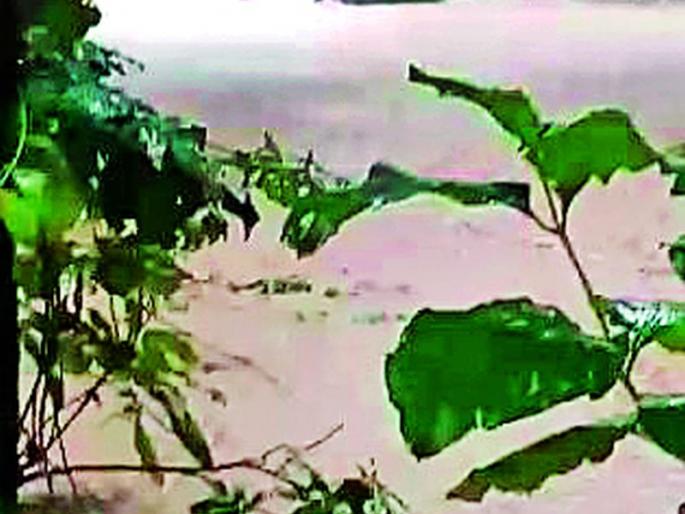 The car was completely overflowed | पुरात वाहून गेली कार The car was completely overflowed | पुरात वाहून गेली कार