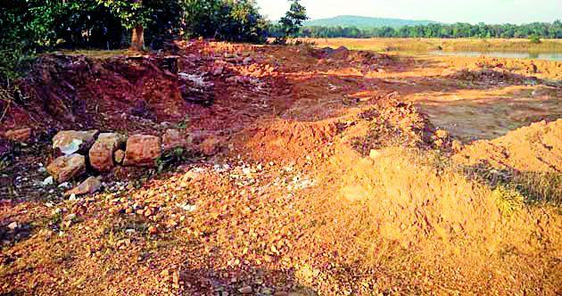 Digging the moor from the pond can cause trees to be destroyed | तलाव काठावरून मुरूम उत्खननाने वृक्षांना धोका