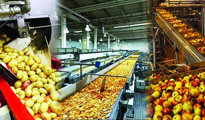 Buldana: Expenditure of 12 crores on agricultural processing industries | बुलडाणा : शेतमाल प्रक्रिया उद्योगांवर १२ कोटींचा खर्च