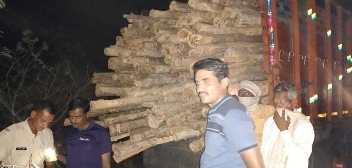 Suspicious truck full of teak seized by Forest Department in Yavatmal district | सागवान भरलेला संशयास्पद ट्रक यवतमाळ जिल्ह्यातील वन विभागाच्या ताब्यात