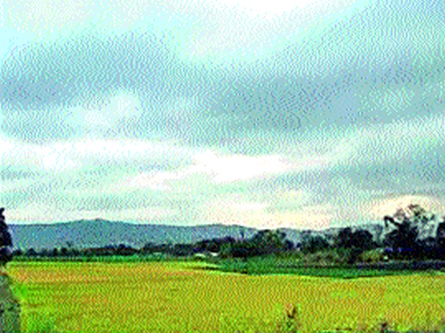Farmers fear climate change | हवामान बदलाची शेतकऱ्यांना भीती Farmers fear climate change | हवामान बदलाची शेतकऱ्यांना भीती