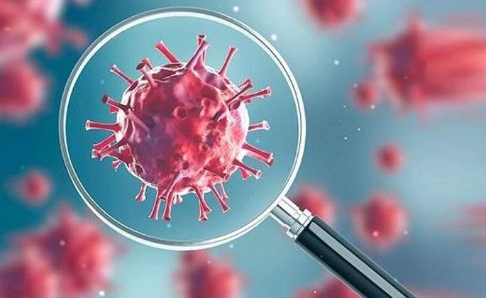 Niphad found Corona's disease | निफाडला आढळला कोरोनाचा रु ग्ण Niphad found Corona's disease | निफाडला आढळला कोरोनाचा रु ग्ण