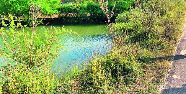 Road block affected by Gosekhurd's work | गोसेखुर्दच्या नहराचे काम रखडल्याने रस्ते प्रभावित Road block affected by Gosekhurd's work | गोसेखुर्दच्या नहराचे काम रखडल्याने रस्ते प्रभावित