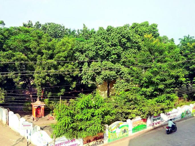 Ramala is a beauty, Azad shrubs 'slave' | रामाळा सौंदर्यहीन, आझाद झुडपांचा ‘गुलाम’ Ramala is a beauty, Azad shrubs 'slave' | रामाळा सौंदर्यहीन, आझाद झुडपांचा ‘गुलाम’