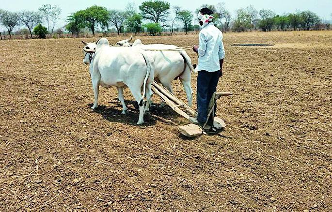 1089 crore loan to farmers | शेतकऱ्यांना मिळणार १०८९ कोटींचे कर्ज 1089 crore loan to farmers | शेतकऱ्यांना मिळणार १०८९ कोटींचे कर्ज