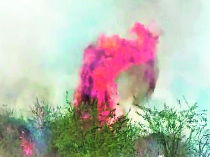 Fire orange in the forest area of Chandrapur power station | चंद्रपूर वीज केंद्राच्या जंगल परिसरात आगीचे तांडव Fire orange in the forest area of Chandrapur power station | चंद्रपूर वीज केंद्राच्या जंगल परिसरात आगीचे तांडव