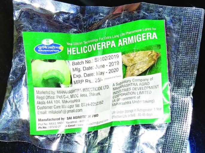 Five pills in a bag of foremantrap'! | ‘कामगंध’च्या एका पाकिटात पाच गोळ्या!