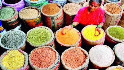 Just like Madhya Pradesh, farmers should be compensated | मध्य प्रदेशप्रमाणेच शेतकºयांना भरपाई द्यावी Just like Madhya Pradesh, farmers should be compensated | मध्य प्रदेशप्रमाणेच शेतकºयांना भरपाई द्यावी