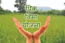 E-crop registration of crops on 4362 hectare area in Dindori taluka | दिंडोरी तालुक्यात ४३६२ हेक्टर क्षेत्रावरील पिकांची ई-पीक नोंदणी E-crop registration of crops on 4362 hectare area in Dindori taluka | दिंडोरी तालुक्यात ४३६२ हेक्टर क्षेत्रावरील पिकांची ई-पीक नोंदणी