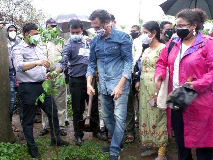 Butterflat Park to be set up on Ambivali hill at a cost of Rs 3 crore | आंबिवलीच्या टेकडीवर साकारणार बटरफ्लाट पार्क, ३ कोटींचा खर्च Butterflat Park to be set up on Ambivali hill at a cost of Rs 3 crore | आंबिवलीच्या टेकडीवर साकारणार बटरफ्लाट पार्क, ३ कोटींचा खर्च