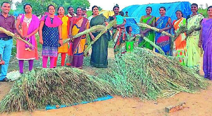  Two trucks in Gadchiroli reach broom in Nagpur | गडचिरोलीचा दोन ट्रक झाडू पोहोचला नागपुरात