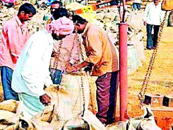 Paddy procurement will reach 10 lakh quintals this year | यंदा १० लाख क्विंटलवर पोहोचणार धान खरेदी Paddy procurement will reach 10 lakh quintals this year | यंदा १० लाख क्विंटलवर पोहोचणार धान खरेदी