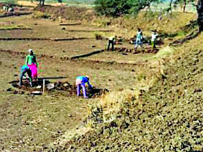 Seven Wave Transformation Speed | सातबारा परिवर्तनास गती Seven Wave Transformation Speed | सातबारा परिवर्तनास गती