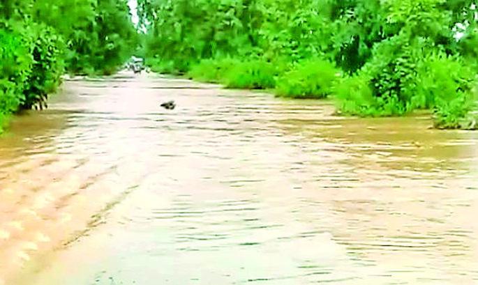 The aramori and Gadchiroli taluka rained down | आरमोरी व गडचिरोली तालुक्याला पावसाने झोडपले The aramori and Gadchiroli taluka rained down | आरमोरी व गडचिरोली तालुक्याला पावसाने झोडपले