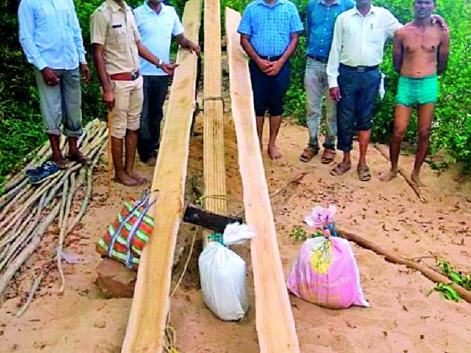 Forest department's harbor in name generation | नाव निर्मितीच्या ठिकाणावर वन विभागाची धाड Forest department's harbor in name generation | नाव निर्मितीच्या ठिकाणावर वन विभागाची धाड