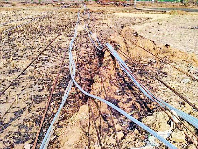 Damage due to electricity in the field | शेतातील वीज तारांमुळे नुकसान Damage due to electricity in the field | शेतातील वीज तारांमुळे नुकसान