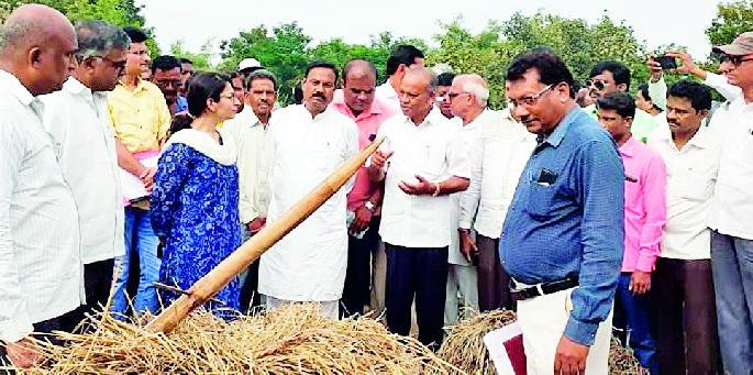 People's Representatives, Officers on Farmers' Binds | लोकप्रतिनिधी,अधिकारी शेतकऱ्यांच्या बांधावर People's Representatives, Officers on Farmers' Binds | लोकप्रतिनिधी,अधिकारी शेतकऱ्यांच्या बांधावर