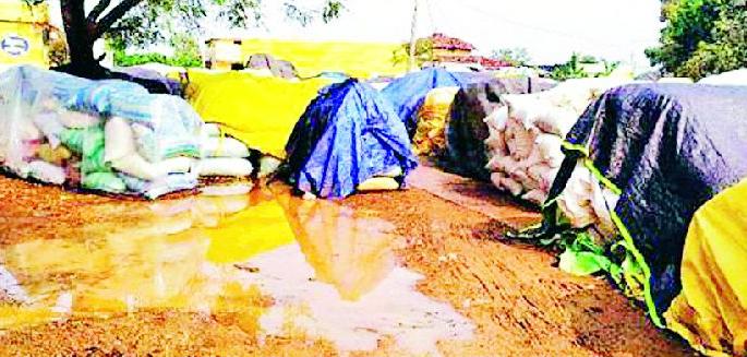 Famine crisis on the farmers | अवकाळीने शेतकऱ्यांवर संकट Famine crisis on the farmers | अवकाळीने शेतकऱ्यांवर संकट