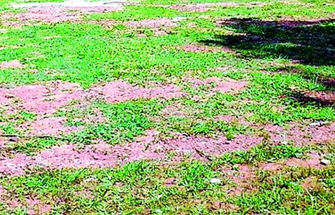Govt will get 120 hectares of land in the city | शहरातील १२० हेक्टर जमीन होणार शासनजमा Govt will get 120 hectares of land in the city | शहरातील १२० हेक्टर जमीन होणार शासनजमा
