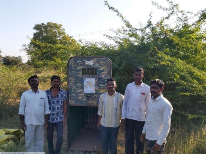 The Neyargaon got nervous at the sight of Bibeta | नेऊरगावला बिबट्याच्या दर्शनाने घबराट The Neyargaon got nervous at the sight of Bibeta | नेऊरगावला बिबट्याच्या दर्शनाने घबराट