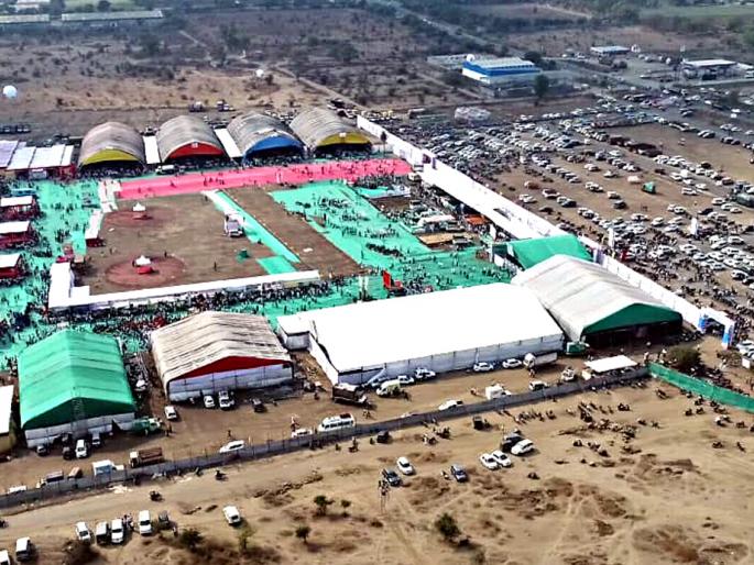 Sultan, Yuvraj are Seliberties... | सुलतान, युवराज; रेडे की सेलिबे्रटीज ? Sultan, Yuvraj are Seliberties... | सुलतान, युवराज; रेडे की सेलिबे्रटीज ?